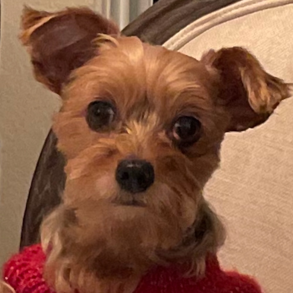 Meet your Posher, Maribell